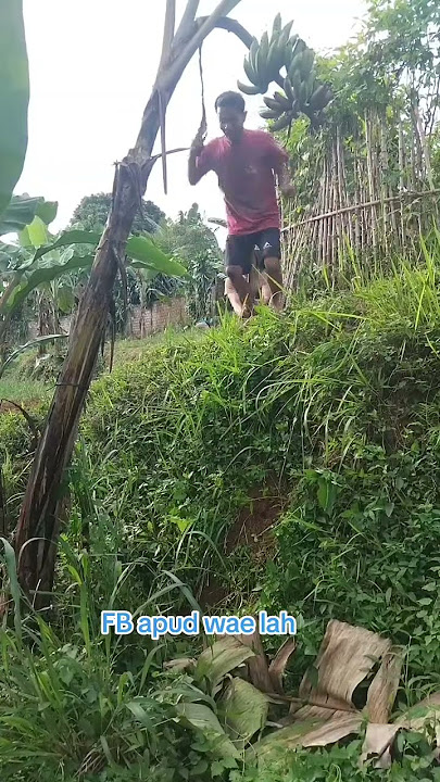 kirain th apaan 🤣 #funny #comedy #ngakak