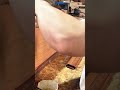 applying wood glue to a joint of a brown timber piece using a small brush for a woodworking project