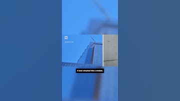Window washers rescued from dangling platform