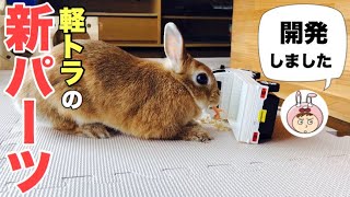 【発明品】そこら中に散らばるうさぎのウ○チ問題解決！？ #529