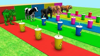 Choose Right Drink with Elephant Gorilla Cow Tiger Dinosaur Wild Animals Max Level Squeeze