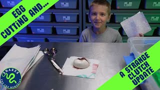 Egg Cutting and a STRANGE Clutch Update!😱