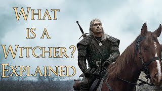 What is a Witcher? (Witcher Explained, The Witcher Netflix Series)