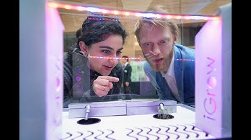 Integrated Engineering - Virtual Program Fair 2025