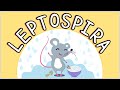 Leptospirosis: Microbiology, Diagnosis, Treatment, & Prevention