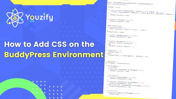 How to Add CSS on the BuddyPress Environment