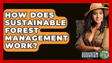 How Does Sustainable Forest Management Work? - Ecosystem Essentials