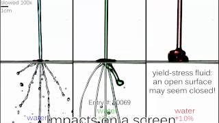 Ewoldt group 2016 APS-DFD Gallery of Fluid Motion: Impacts on a screen