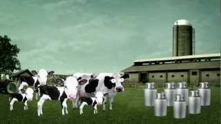 NUTRISTAR - L'allevamento di precisione per bovine da latte