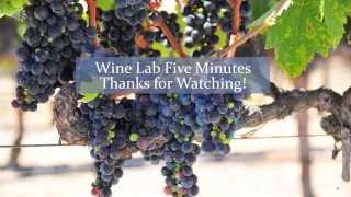 Principles of Wine Analysis