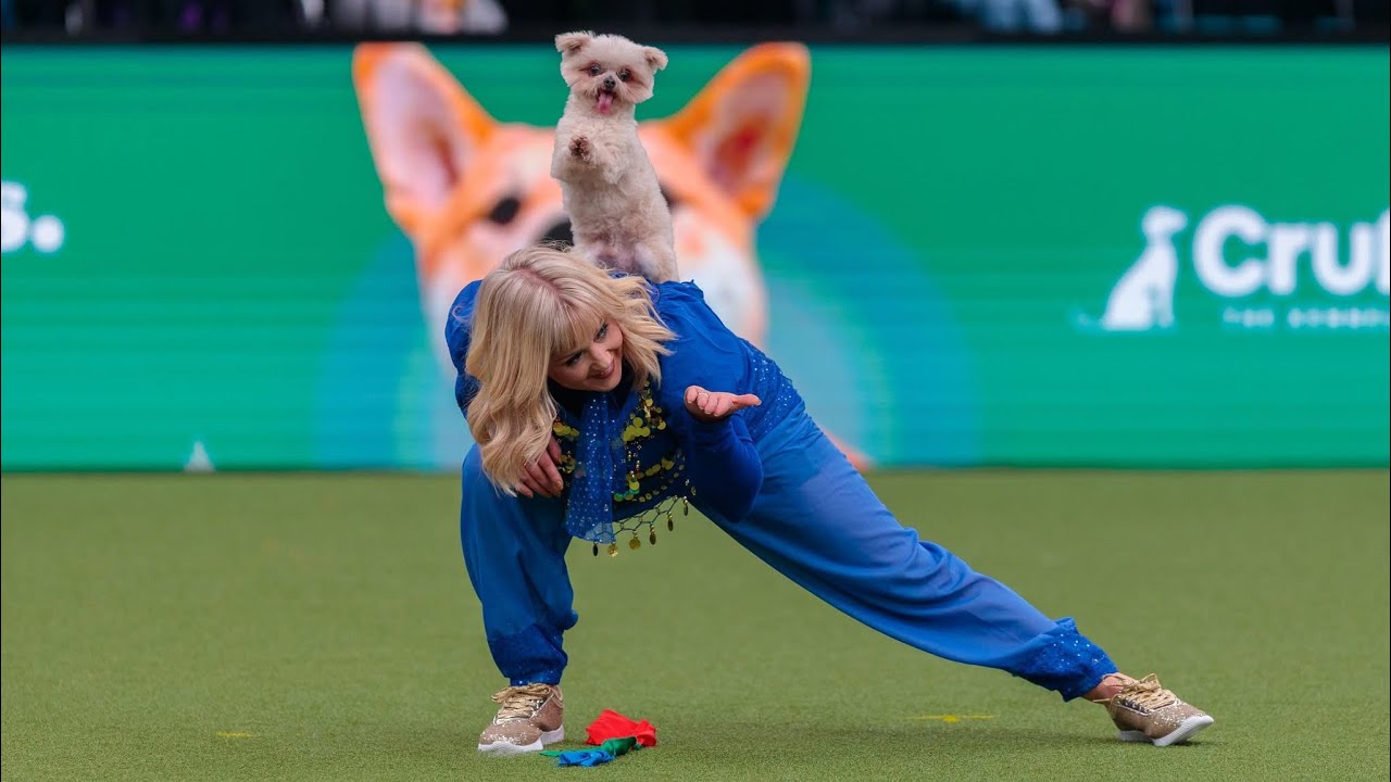 Lucy and Trip Hazard Crufts Freestyle Winners 2025 - YouTube
