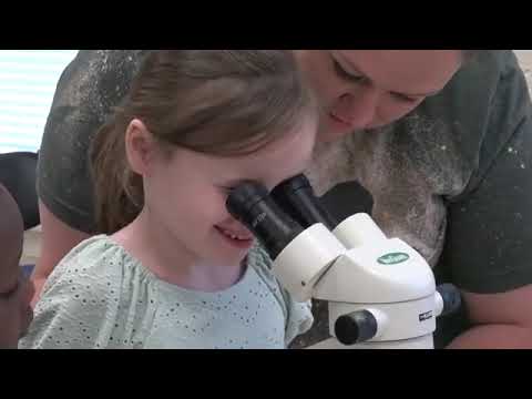 A DAY IN THE LIFE OF: Adairsville Elementary School Students. 6-21-22