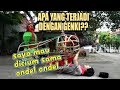 Genki Jadi Ondel-Ondel! | TAU GAK SIH (21/02/20)