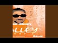 Halley (feat. Danny S) (Dance Version)