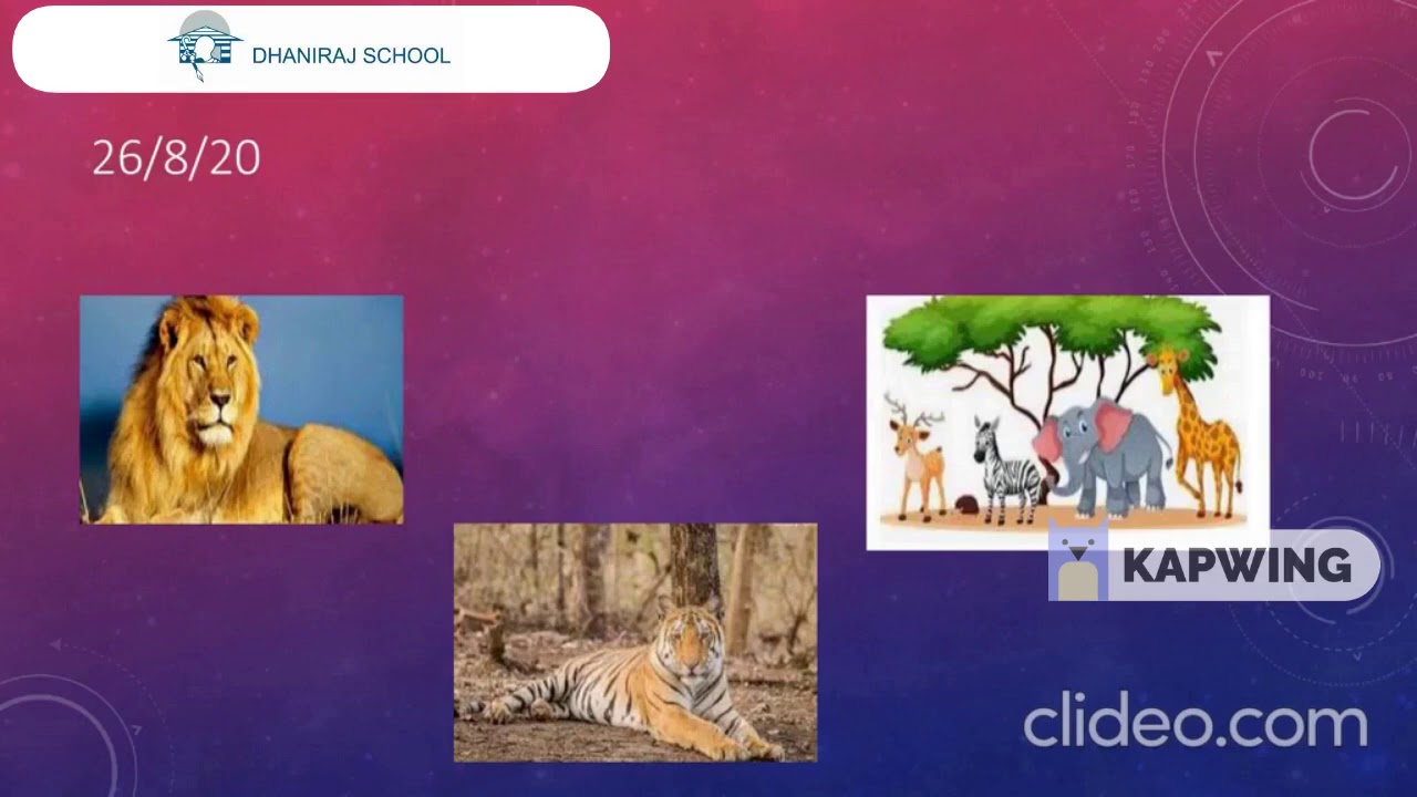 Jungle safari YouTube