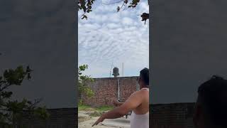 Makhan Kite Lover 😍 kiteflying #patangbazi #ytshorts #shorts #patang #kite