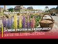 40% Protein, günstiger als Fleisch – warum kennt kaum jemand diese Pflanze? | Heilpflanzen
