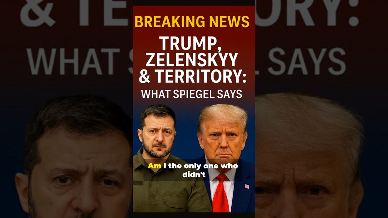 Trump's Zelenskyy Pressure Sparks Global Concerns