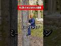 木に登ってセミになりたい大統領 #コント