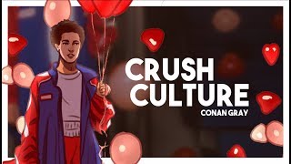 Crush Culture - Conan Gray - Tradução PT-BR
