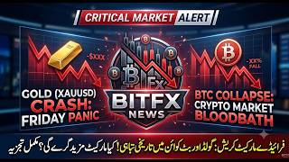 Why Market Crashed On 5 June Friday? Gold & Crypto Analysis | BitFx News⁨@bitfxnews⁩  #CryptoCrash