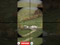 DAYZ - A PRECISÃO DE 10 MIL HORAS DE SNIPER 😱 #shots