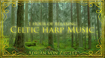 1 Hour of Relaxing Celtic Harp Music by Adrian von Ziegler
