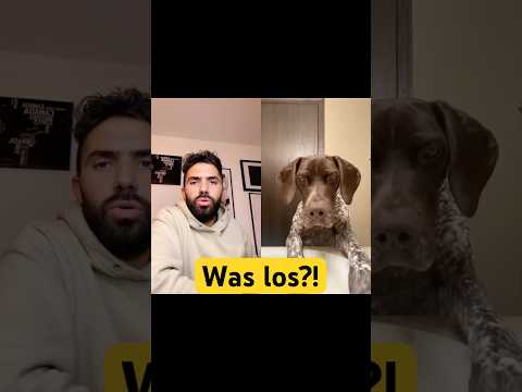 Was los lan?! Tickets unter khalid-bounouar.de