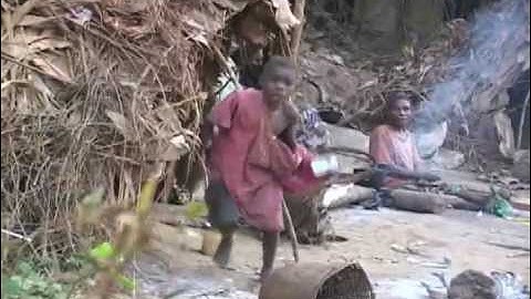 Congo-forest-video-WHRC-laporte.wmv