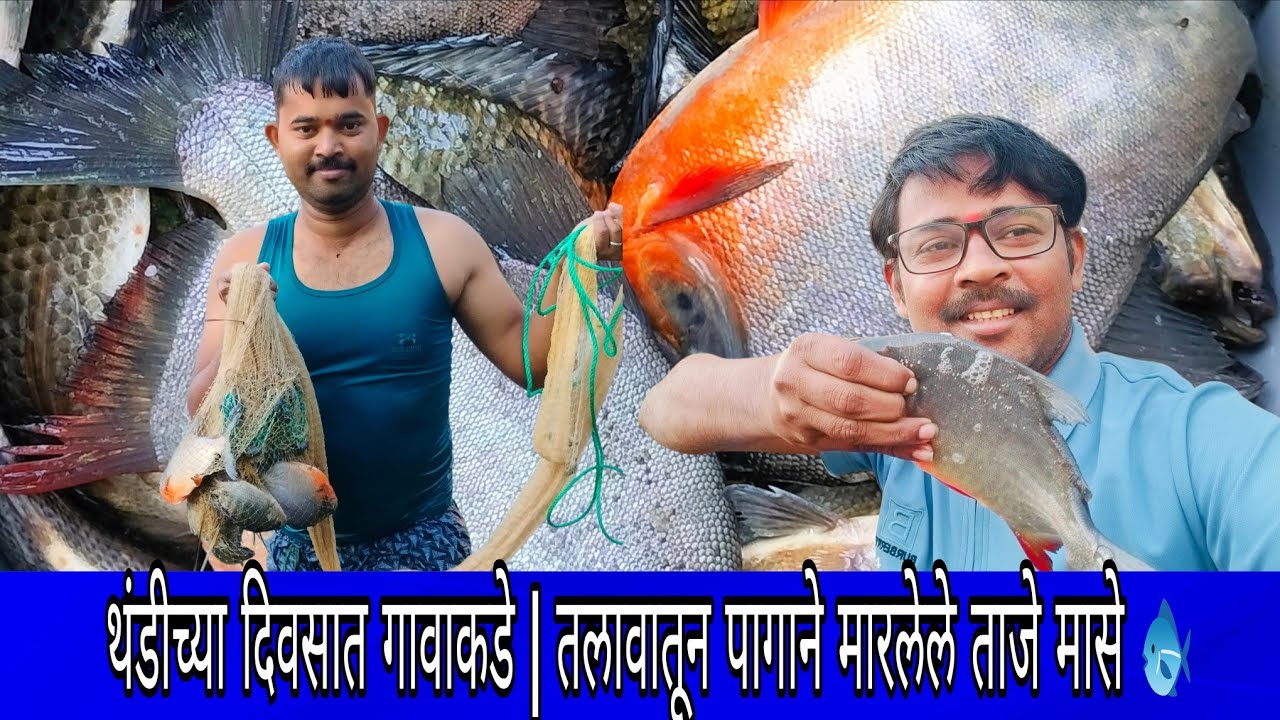 थंडीच्या दिवसात गावाकडे | तलावातून पागाने मारलेले ताजे मासे 🐟❄️ | Kalatarang Alibag #fishing 