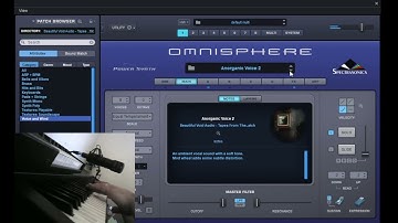 Voice And Wind - Omnisphere 2.8 - Tapes From The Attic