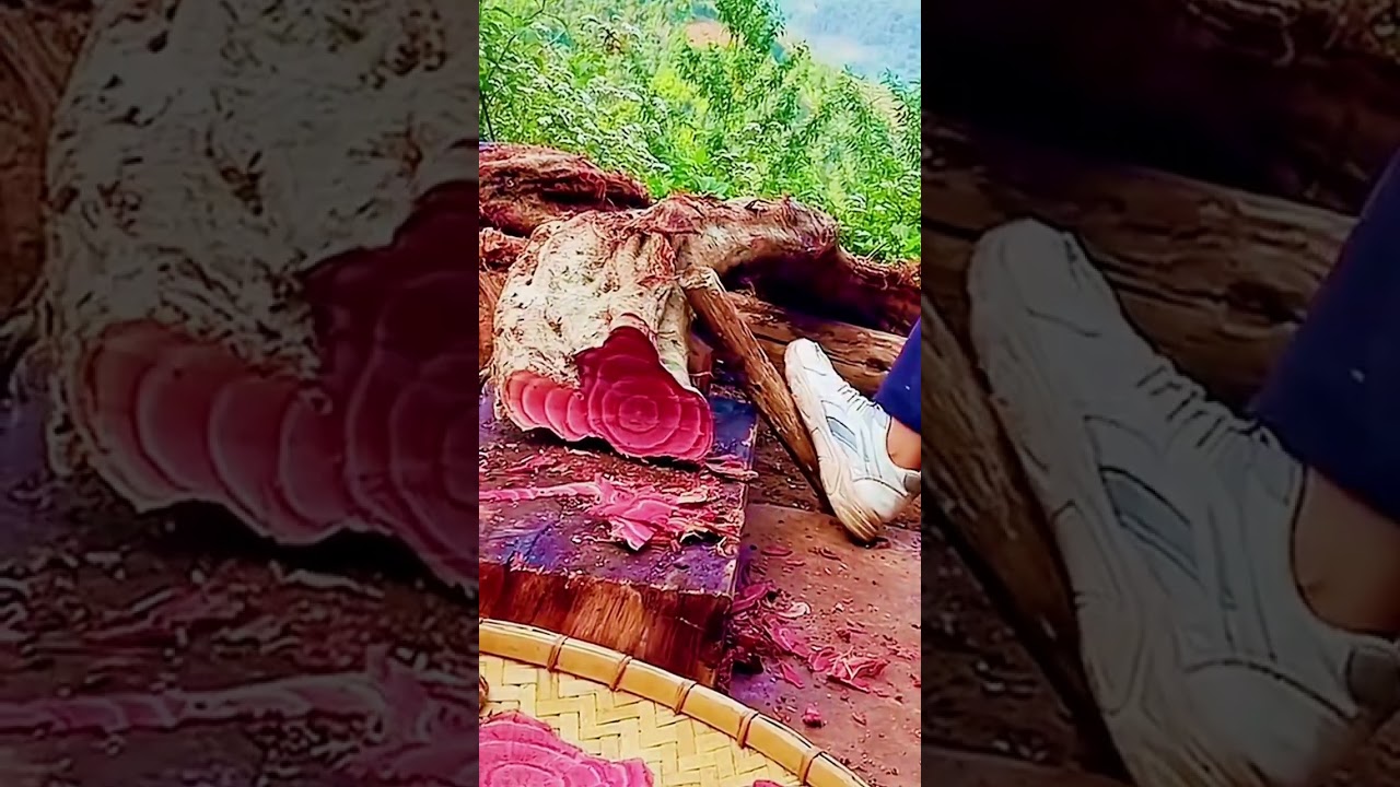 cool technique for slicing fibrous wood 