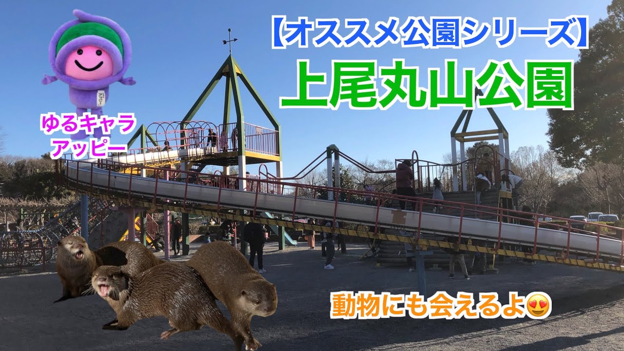 【オススメ公園シリーズ】遊具が充実している！上尾丸山公園