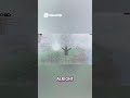When Every Disaster Hits at Once… 😳  #roblox#naturaldisastreroblox #naturaldisaster #robloxgameplay