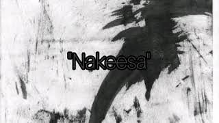 NAKEESA, LYRICS VIDEO BY MOWZEY RADIO AND PHONE FILMZ