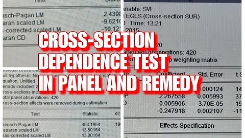 Cross-Section Dependence in Panel Data and Remedies using EViews