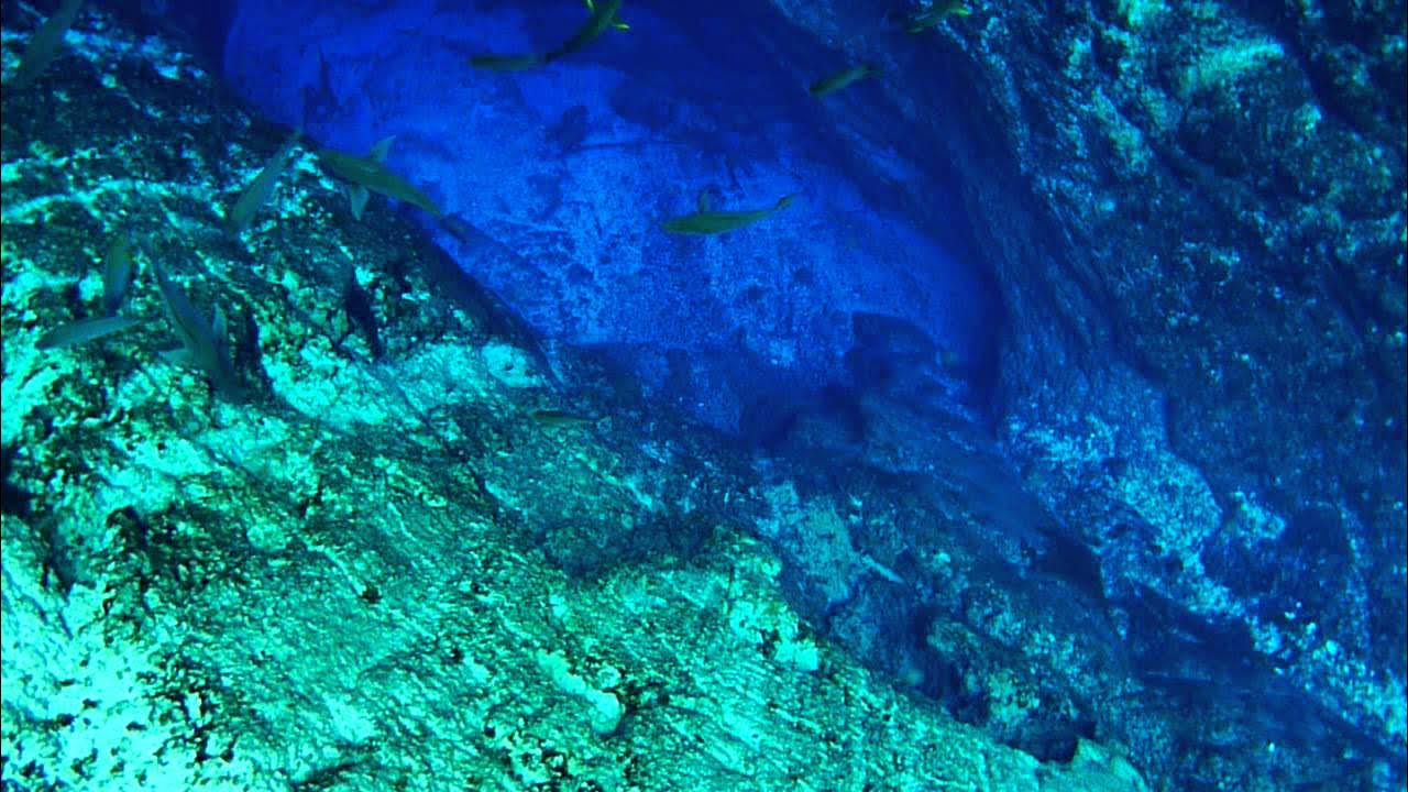 Enchanted River Underwater - YouTube