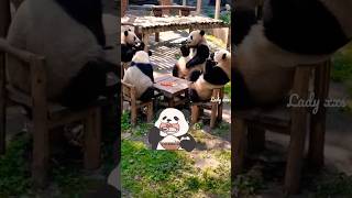 😆Snack Time In Preschool Be Like🐼 #Cute #Funny #Panda #Shorts