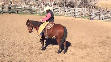 Clint Weaver Horsemanship Turn Around Technique