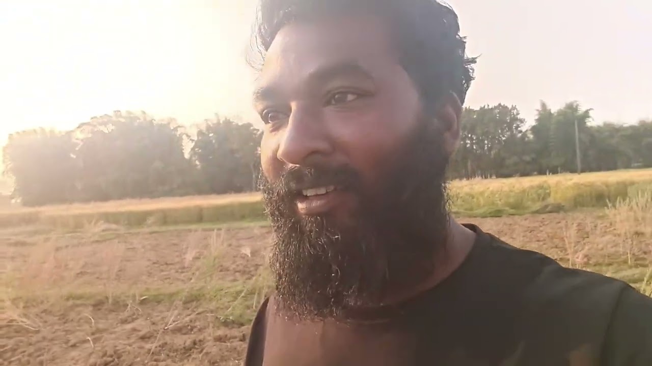 हमारे खेतों की हरियाली