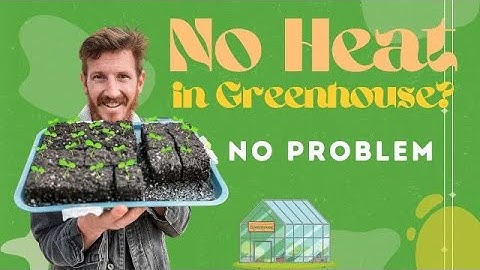 Protecting Greenhouse Plants from Spring Frost: Cold Weather Tips and Tricks