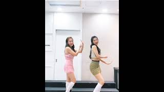 Red Velvet Yeri and Joy Queendom Dance Challenge