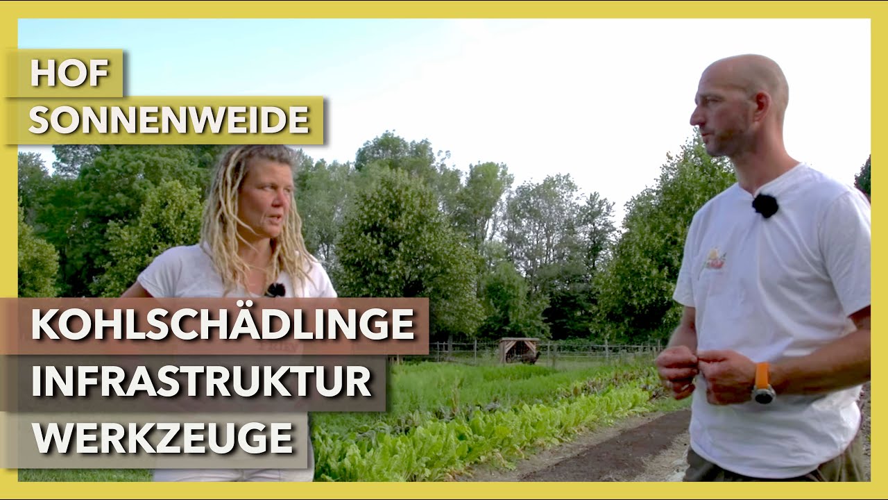 Kohlschädlinge, Infrastruktur, Werkzeuge | Hof Sonnenweide Paradiesgemüse | Rundgang 2 | 2021