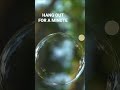 Floating Bubble - Hang out for a minute (Free to Use HD Stock Video Footage)