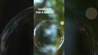 Floating Bubble - Hang out for a minute (Free to Use HD Stock Video Footage)