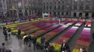 Free flowers as Amsterdam marks National Tulip Day