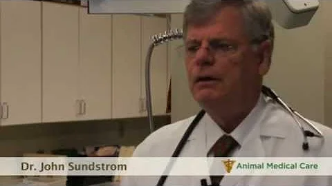 Dr. John Sundstrom - The dangers of intestinal par...