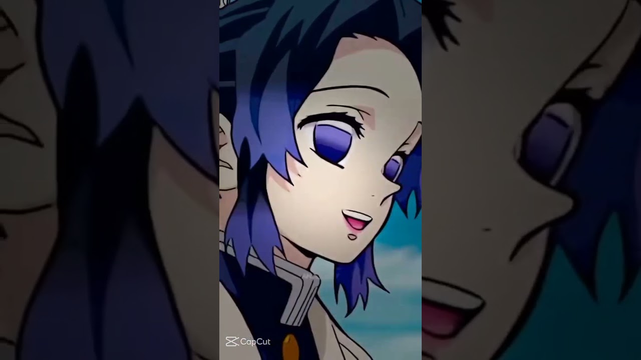 Kocho sisters 🦋🌷|| the reason kanao and Aoi is not there is because they have different last names