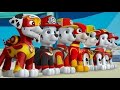 Paw patrol  la patpatrouille dessins anim