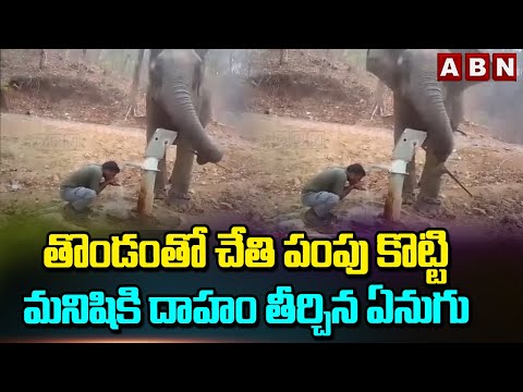 Viral Video: Elephant Uses Hand-Pump || తొండంతో చేతి పంపు కొట్టి మనిషికి దాహం తీర్చిన ఏనుగు || ABN - ABNTELUGUTV